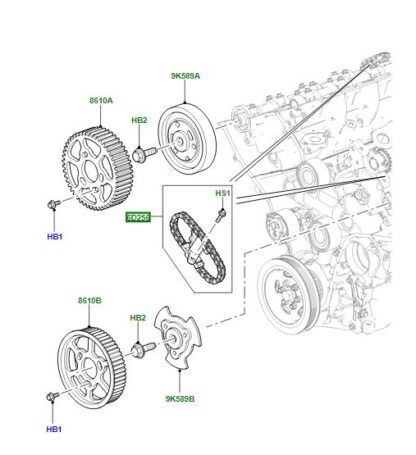 306DT camshaft timing chain