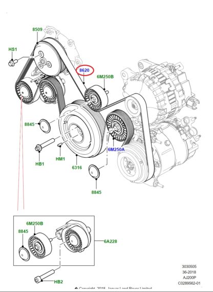 LR186378 T2H59849 LR079263 T2R21156